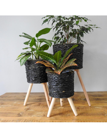 Macetero de rattan con soporte de madera set x3