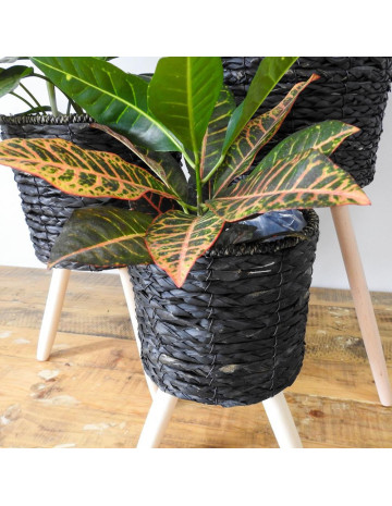 Macetero de rattan con soporte de madera set x3 2