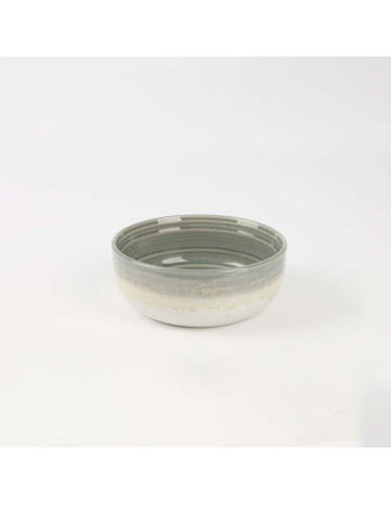Bowl cerámica Ceniza