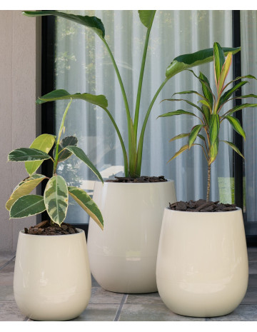 Maceta Marfil Uovo Autorriego Grande 2