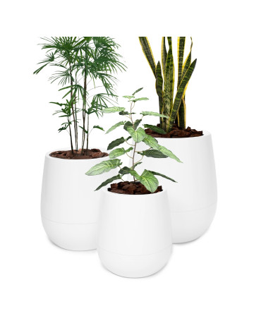 Maceta Blanca Uovo Autorriego Grande