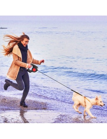 Correa retráctil para perros 3 en 1 2