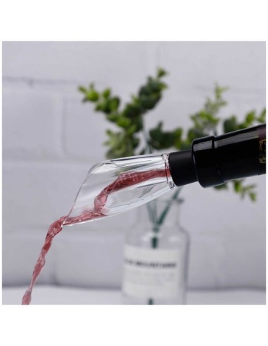 Decantador/aireador para botella de vino